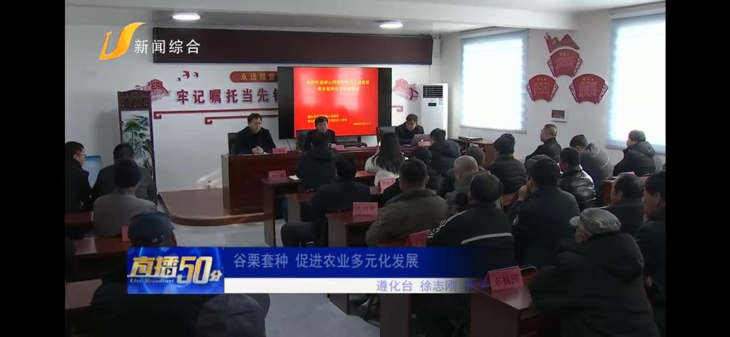 《唐山广播电视台》——美加墨世界杯官方网站：谷栗套种 促进农业多元化发展